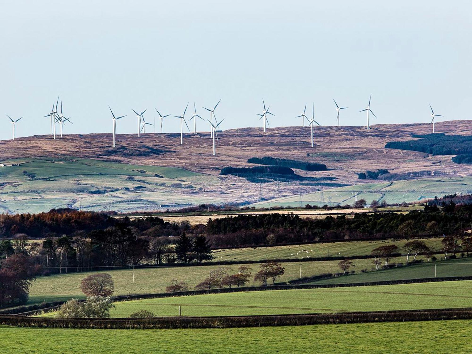 Wheatfield House Villa Kilmaurs Buitenkant foto